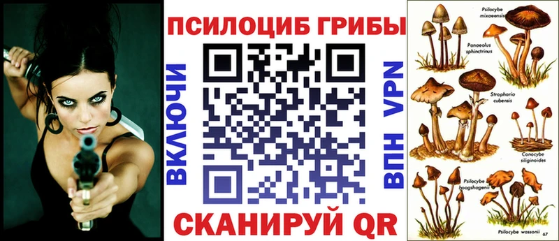 Купить  Новоалтайск  Галлюциногенные грибы мухоморы 